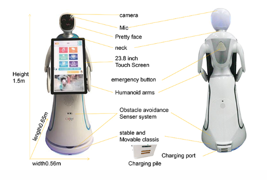 robot quảng cáo và phục vụ Amy Plus