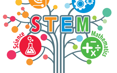 Tìm hiểu stem có nghĩa là gì và ứng dụng trong ngành công nghệ thực phẩm